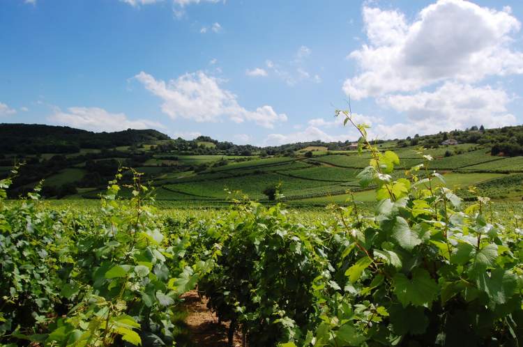 Les Maritonnes, Hôtel &amp; Restaurant au coeur des Vignes du Beaujolais